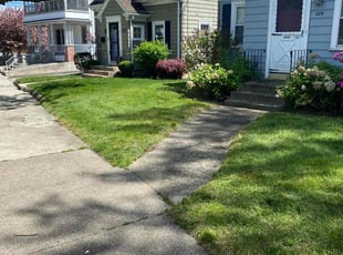 Barbara A.'s lawn maintenance service result