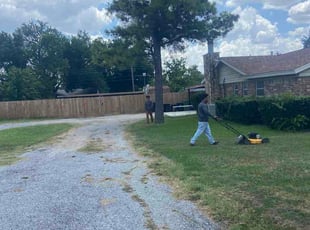 Stamey M.'s lawn service service result
