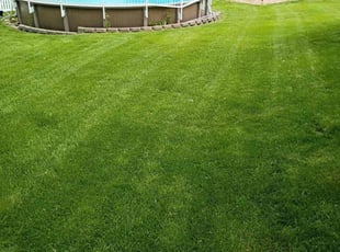 Aaron S.'s lawn care service result