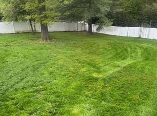 Brandi J.'s lawn maintenance service result
