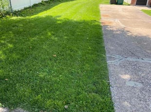 Elijah S.'s lawn maintenance service result