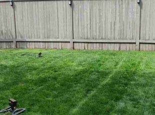 Aaron W.'s turf maintenance service result