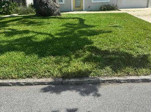 Tamara B.'s lawn care services service result