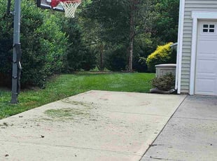 Patricia S.'s lawn care service result