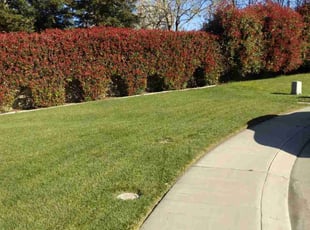 Erin F.'s lawn care services service result