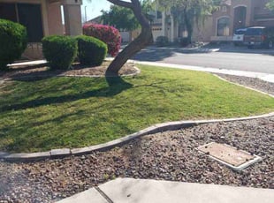 Arthur K.'s turf maintenance service result