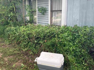 James R.'s Bush Trimming service result