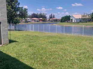 Jihyo K.'s turf maintenance service result