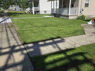 Deon B.'s lawn care services service result