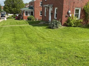 Daniel M.'s lawn care service result