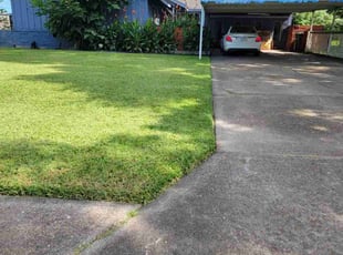 Susan H.'s grass cutting service result
