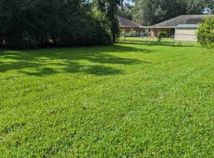 Bryan F.'s grass cutting service result