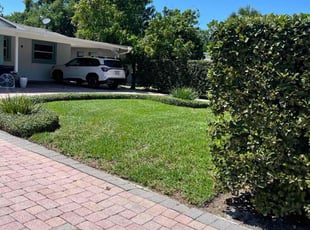 Linda P.'s turf maintenance service result