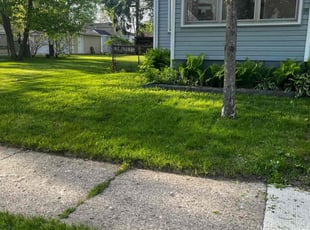 Nayoun L.'s grass maintenance service result