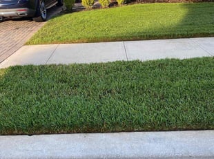 Janice U.'s lawn care services service result