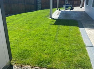 Alexis W.'s turf maintenance service result