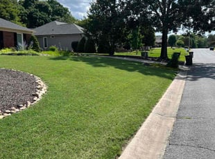 Tim D.'s lawn service service result