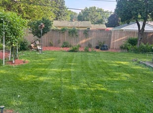 Elijah S.'s lawn service service result