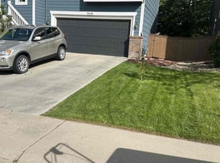 Steven X.'s lawn maintenance service result