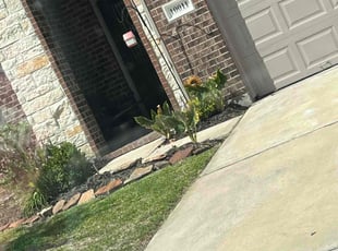 Jeanette W.'s Bush Trimming service result