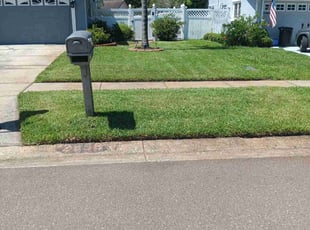 Bettie N.'s grass cutting service result