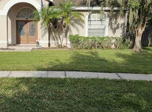 Erica P.'s lawn maintenance service result