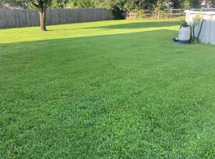Mona B.'s turf maintenance service result