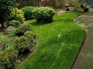 Julie C.'s grass cutting service result