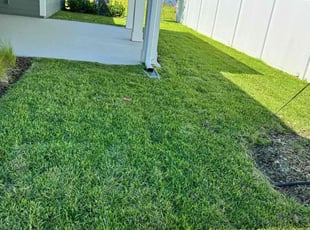 Edna P.'s lawn maintenance service result