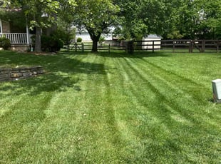 Lauren H.'s grass cutting service result
