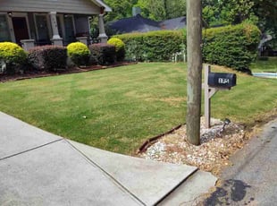 Michelle J.'s yard service service result