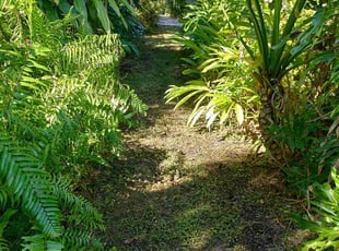 Charlie M.'s turf care service result