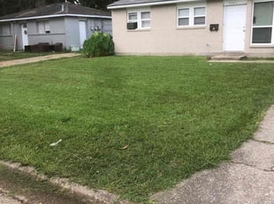 Kyle M.'s turf care service result
