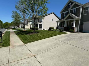 Tashawn J.'s lawn care service result