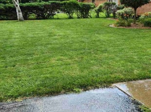 Nicholls C.'s Bush Trimming service result