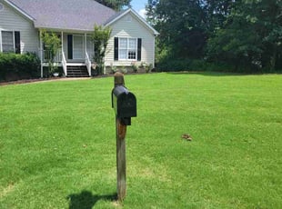 Ida W.'s grass cutting service result