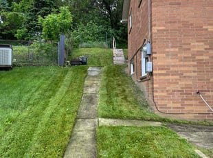 Eric C.'s lawn service service result
