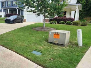Iona T.'s turf care service result