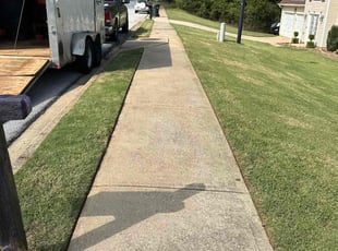 Andrea W.'s turf care service result