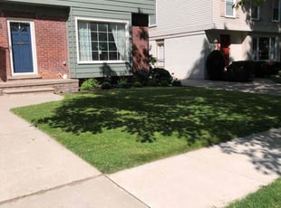 Irena D.'s lawn maintenance service result