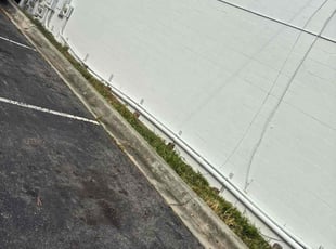 Kristal W.'s grass maintenance service result