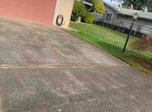 Bri G.'s turf maintenance service result