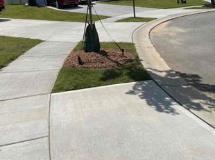 Miriam M.'s lawn maintenance service result