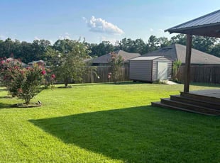 Davion S.'s lawn service service result