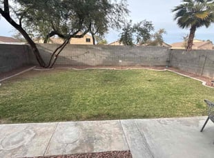 Paula B.'s lawn service service result