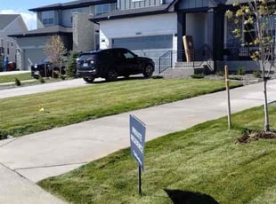 Lora B.'s lawn care service result