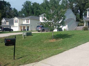 Vince M.'s lawn care services service result