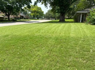 Brandi B.'s lawn service service result