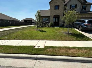 Leron N.'s lawn service service result