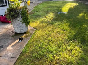 Brenda T.'s lawn maintenance service result